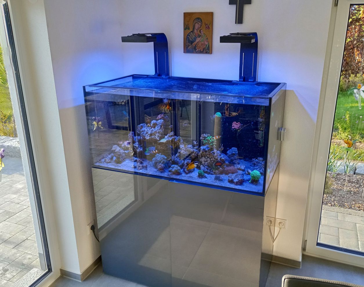 Aquarium2