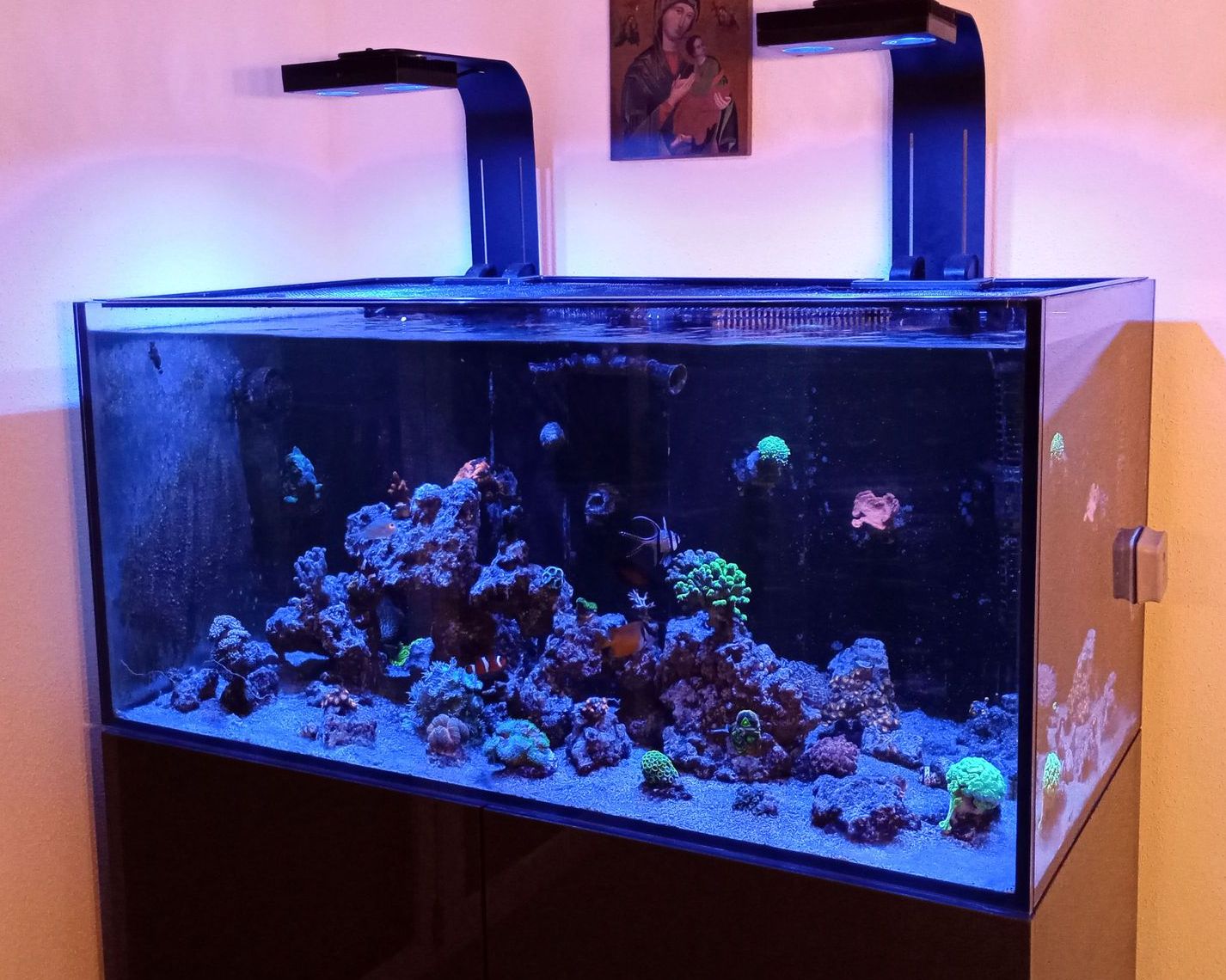 Aquarium2
