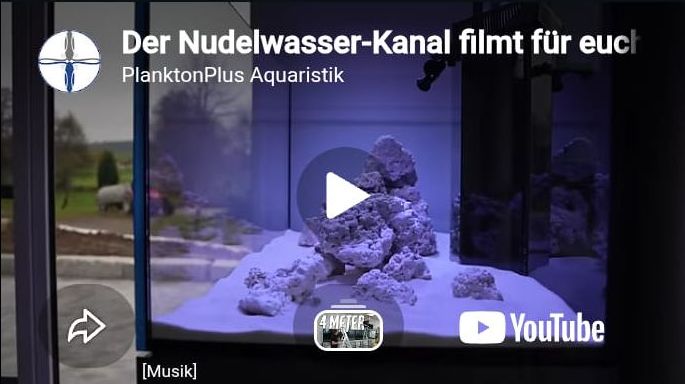 Aufbauvideo Prev
