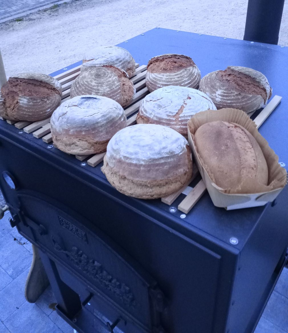 Brot