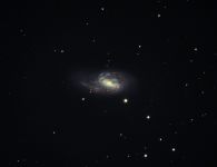 m66 im leo triplett v2 1 20200429