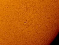 sonnenfleck in h alpha 2020 06 11 20200611