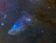 blauer pferdekopfa
