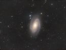 m81