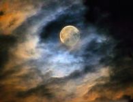 mond13