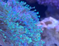 aquarium s1