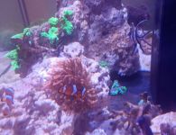 aquarium2