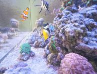 img 20260510