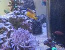 img 20260510