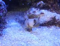 img 20260510