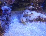 img 20260510