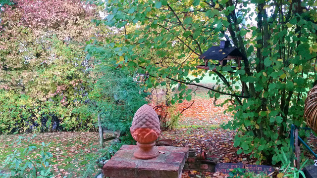 20151015_150559_zpsqihsv3nu.jpg